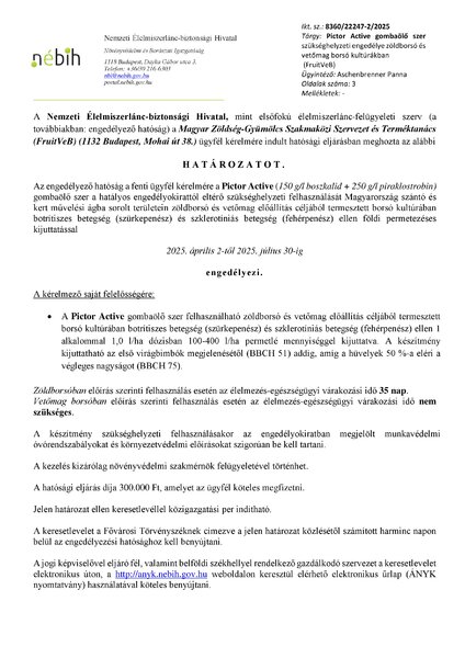 pictor_active_fruitveb_borso_vetomag_borso_20250331_publikus.pdf