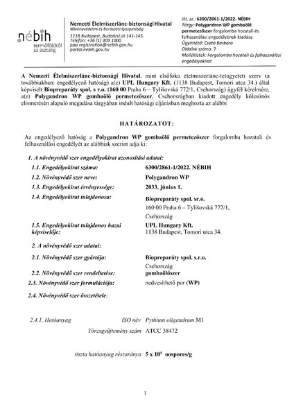 polygandronwp_eng_20221121.pdf