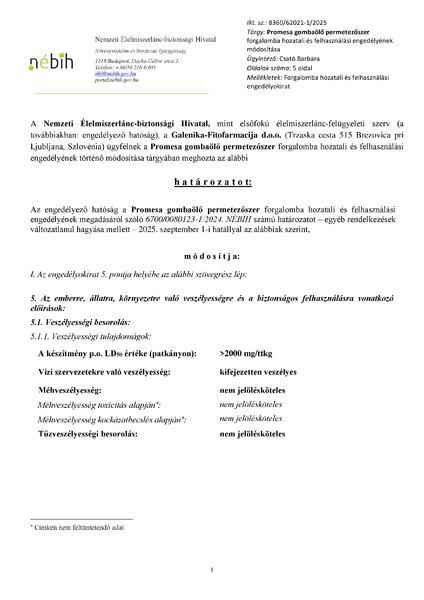 promesa_mod_20250618.pdf