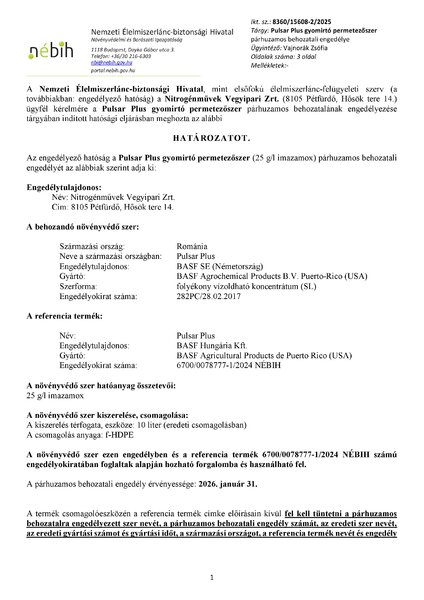 pulsarplus_peng_nm_roman_20250226publikus.pdf