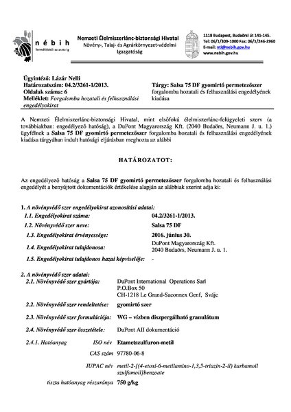 salsa75df_eng_20130614.pdf