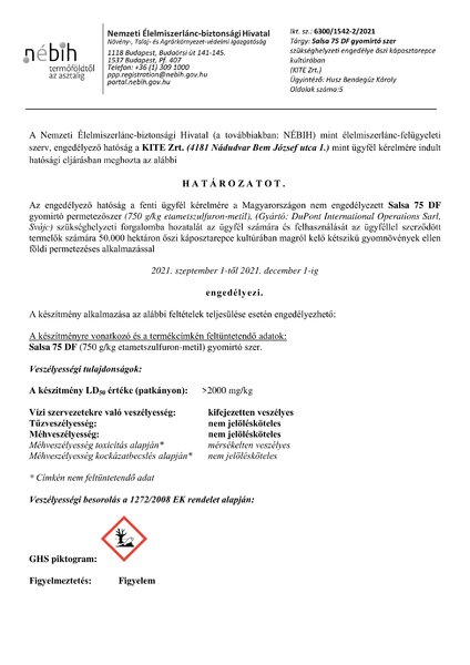 salsa_75_df_repce_kite_20210628.pdf
