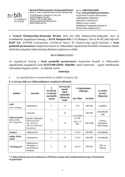 scala_mod_20201123.pdf