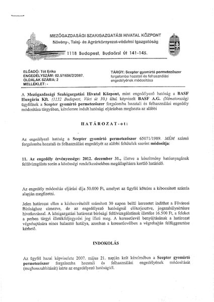 scepter_modhat_071127.pdf
