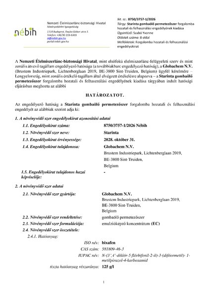 starinta_eng_20260204.pdf