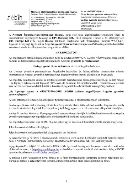 upstage_ref_angelus_szarmaztatotteng_2021_03_16_publikus.pdf