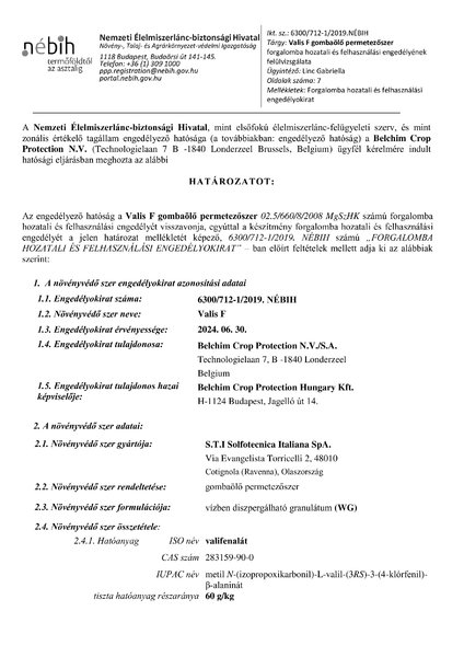 valisf_felulvizsgalat_20190503.pdf