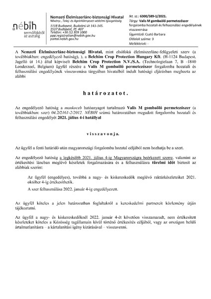 valism_vissza_20210218.pdf