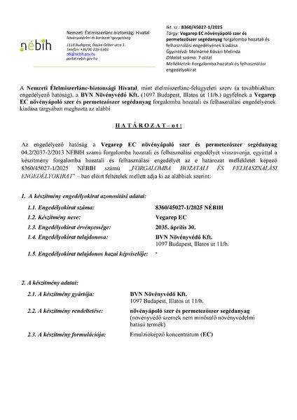 vegarep_ec_eng_20250429_publikus.pdf