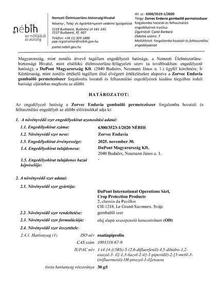 zorvec_endavia_eng_20201110.pdf