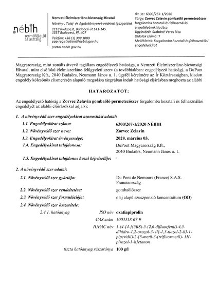 zorvec_zelavin_eng_20200203.pdf