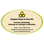 Vargáné Tünde és Társa Kft.