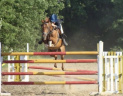 elizaandras