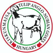 lajkogy1