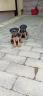 Gergely