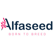 Alfaseed Kft.