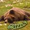 Grizzly