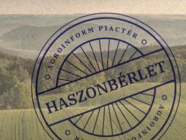 Haszonbérlet - Szirák hrsz.: 022/5 - szántó